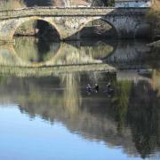 Canards au pont de Cirou