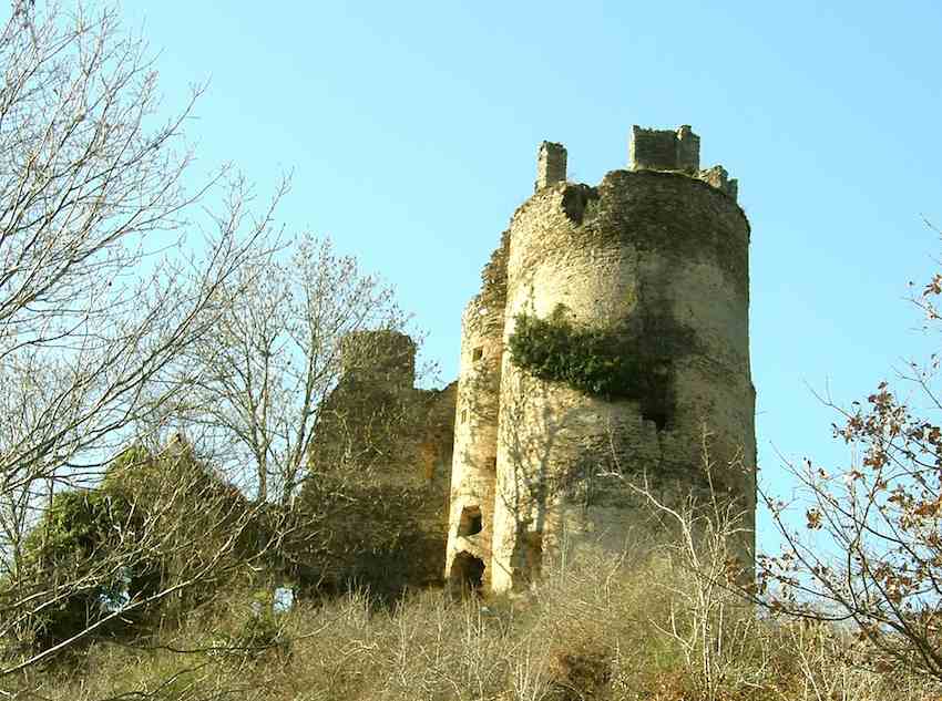 Château de Roumegous 2
