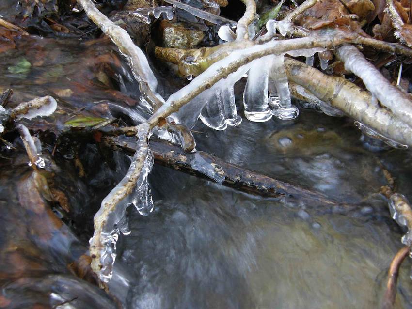 Bord du Viaur - hiver 2010