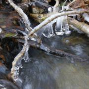 Bord du Viaur - hiver 2010