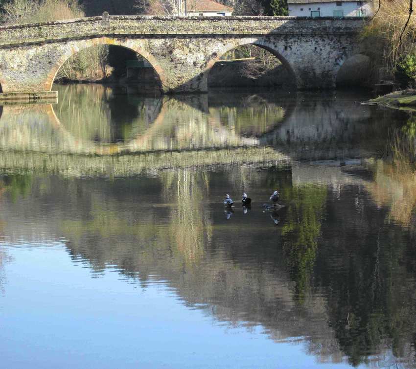 Canards au pont de Cirou