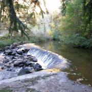 Chaussée de moulin sur le Jaoul