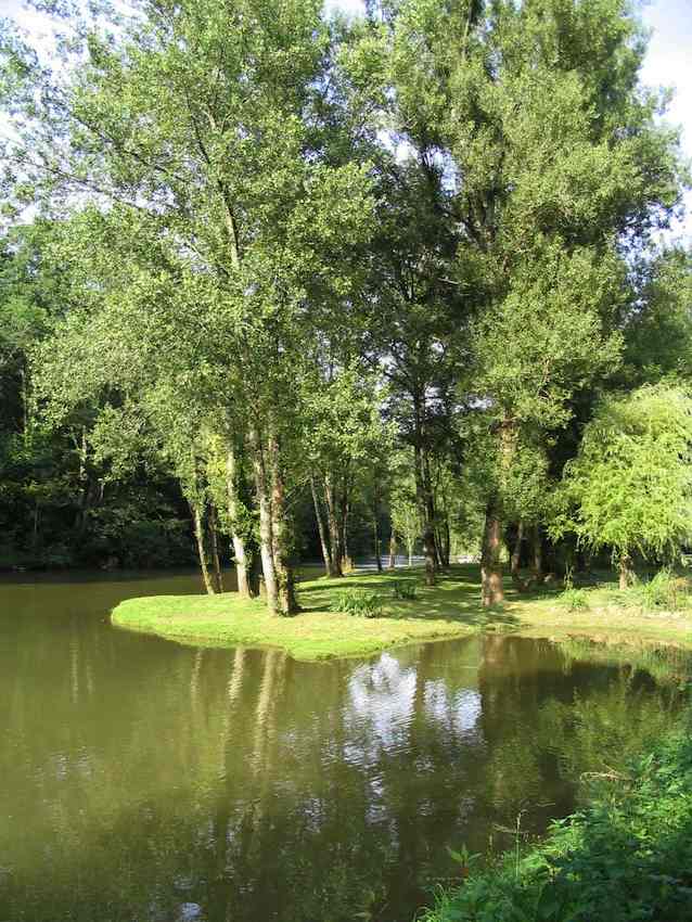 Le bord du Viaur au moulin de Pignac