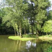 Le bord du Viaur au moulin de Pignac