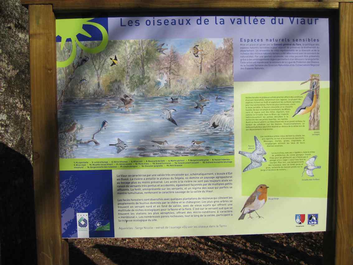 Oiseaux du Viaur - Panneau sentier Pampelonne