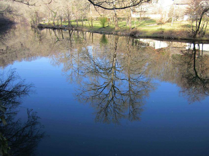 Reflets d'hiver